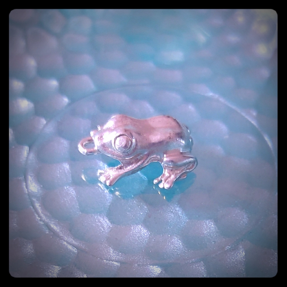 Coqui Frog Charm 925 Sterling Silver